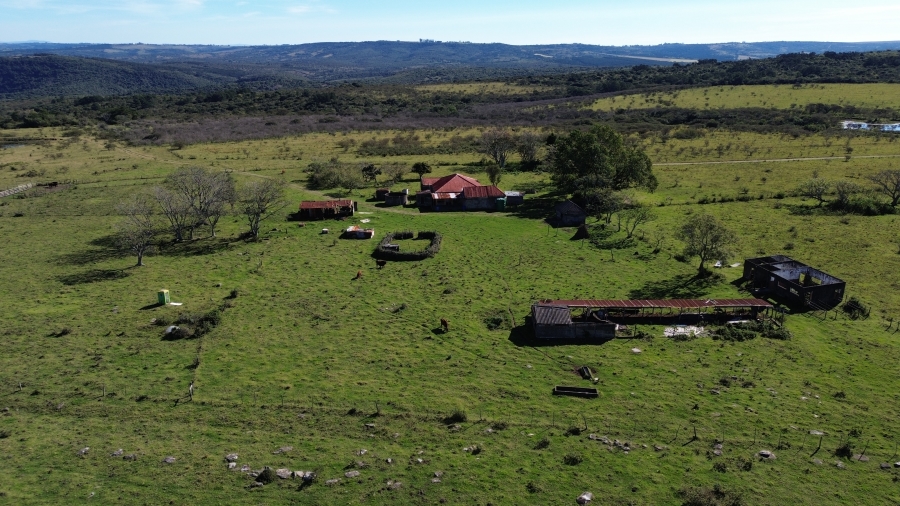 Commercial Property for Sale in Komga Eastern Cape
